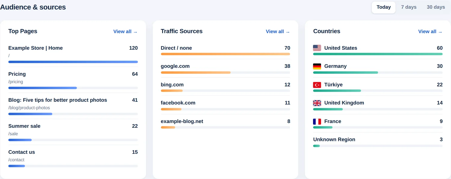 Audience and sources cards: top pages, traffic sources and countries